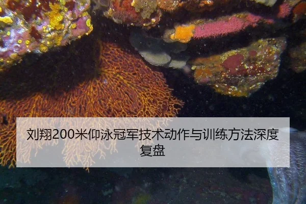 刘翔200米仰泳冠军技术动作与训练方法深度复盘